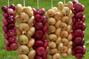 Разные цвета