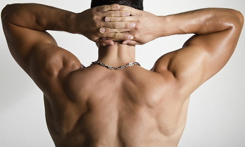 Мужская спина