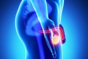 Травма половых желез