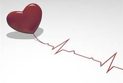 zdorovoe serdce muzhchiny