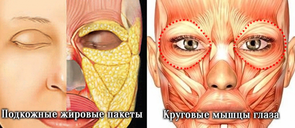 Тёмные круги и синяки под глазами - причины возникновения и методы коррекции
