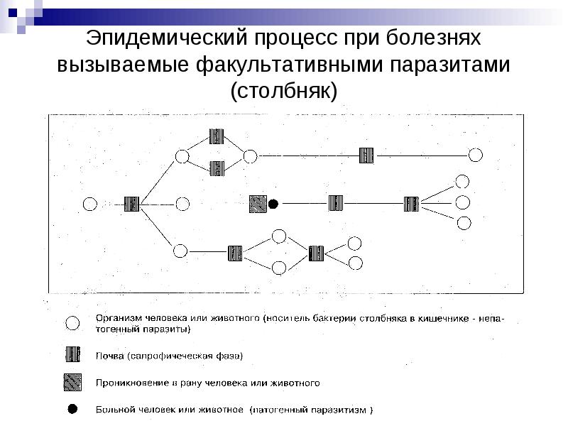 Столбняк симптомы у человека после укуса собаки