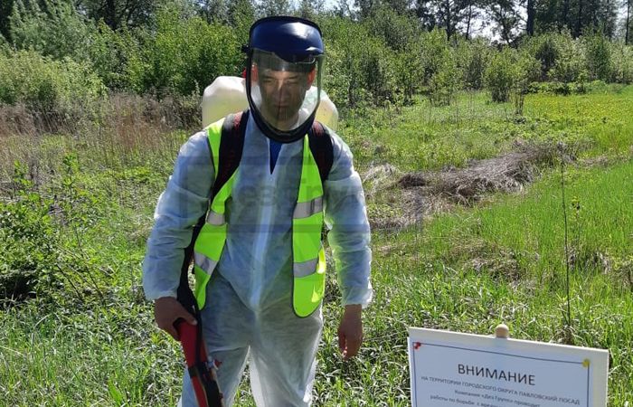 Чтобы предотвратить ожоги с борщевиком необходимо удалить его службой СЭС Чтобы предотвратить ожоги с борщевиком необходимо удалить его службой СЭС