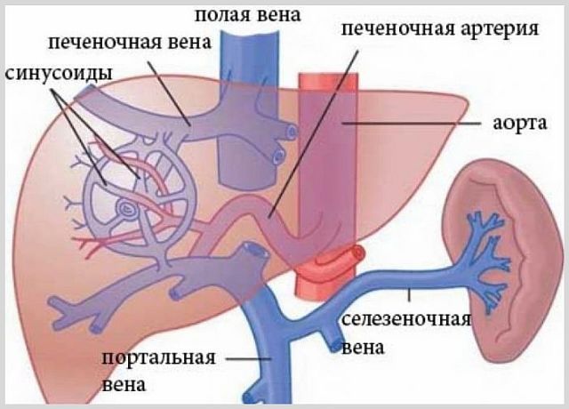 Злокачественный отек - что делать