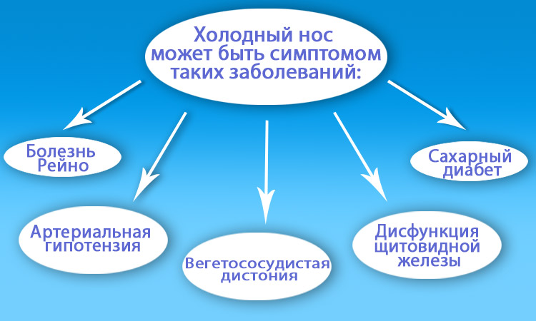 holodnyy-nos.jpg