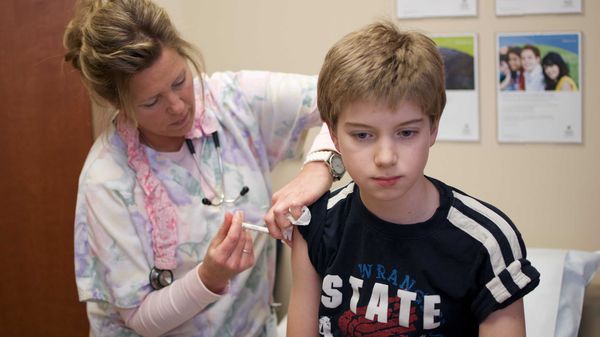 Вакцинация человека от бешенства Вакцинация человека от бешенства